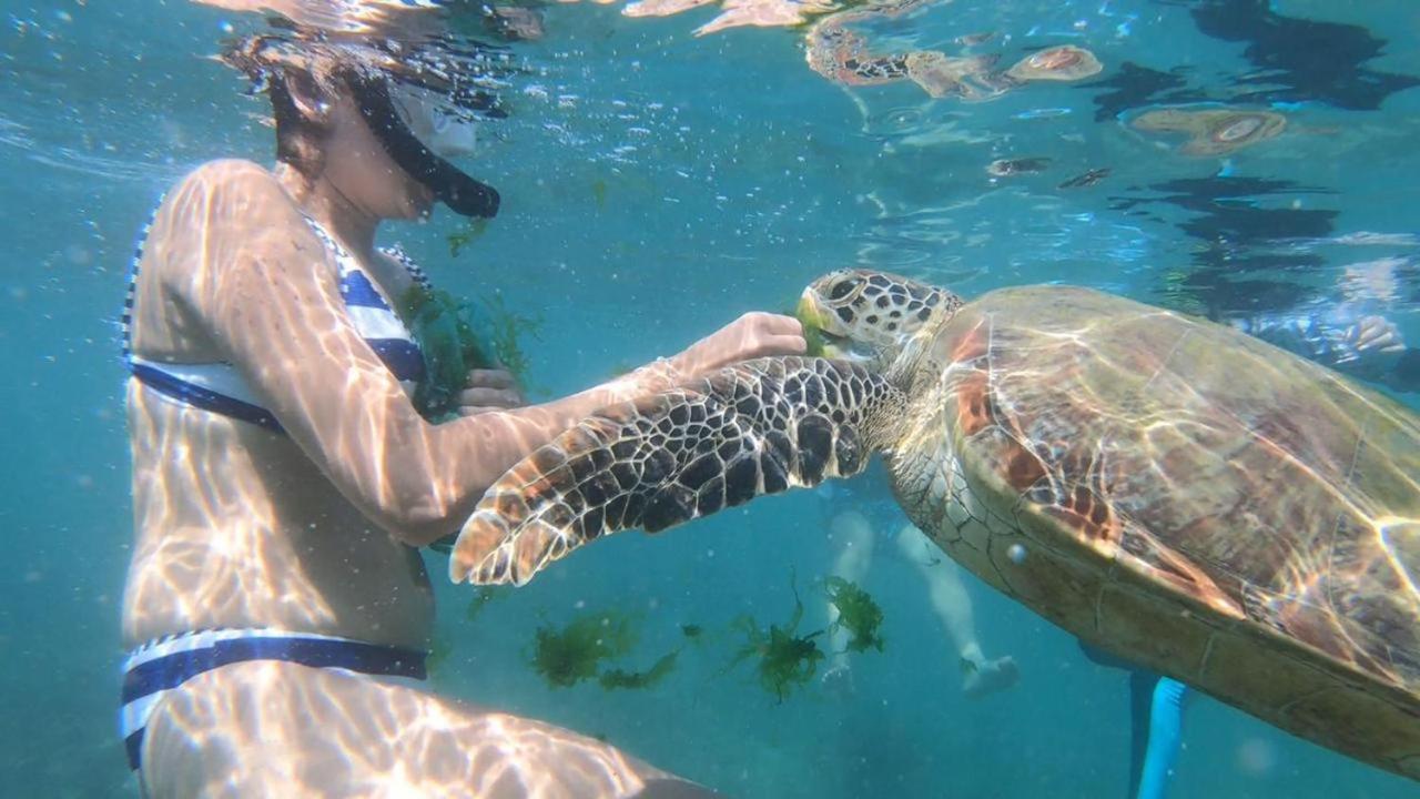 Turtle Beach House Batigama 外观 照片